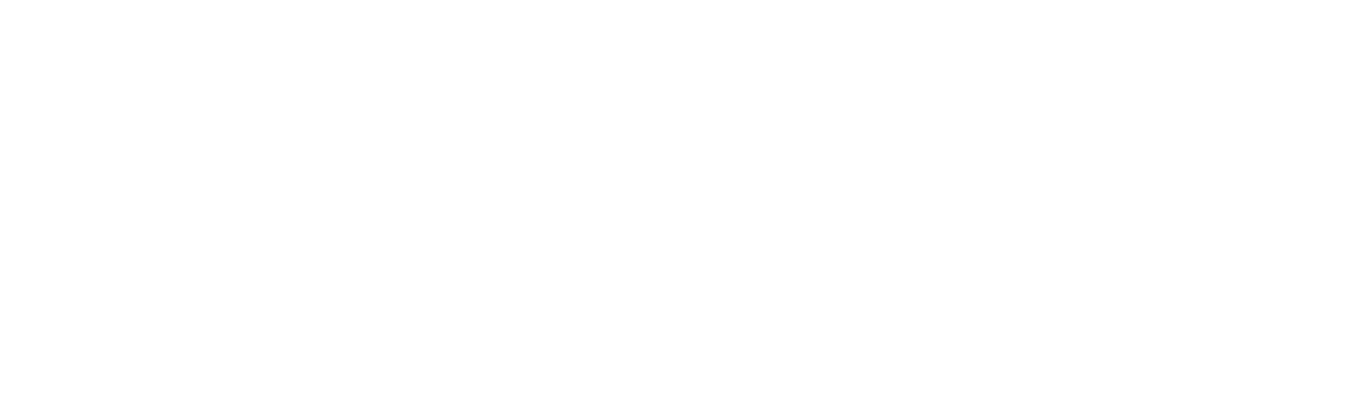 Van Bronckhorst Mode